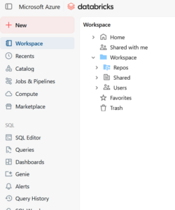 organization databricks